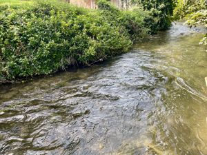 Photo 11- click for photo gallery